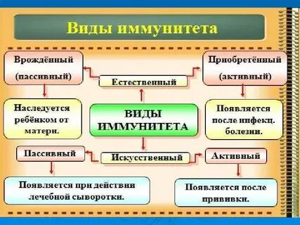 Тест иммунитет виды