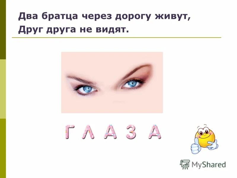 Покажи загадки пожалуйста. Загадка два братца через дорогу живут друг друга не видят. Загадка про око. Дайте пожалуйста загадки. Два братца через дорогу живут.