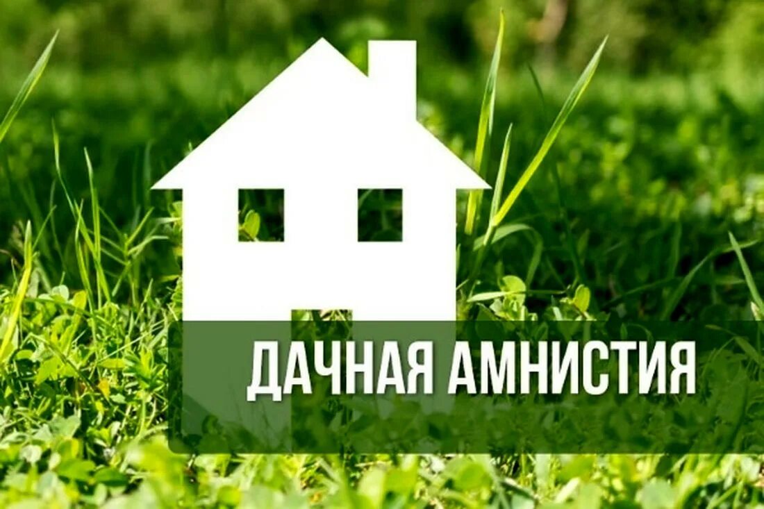 Порядок дачной амнистии
