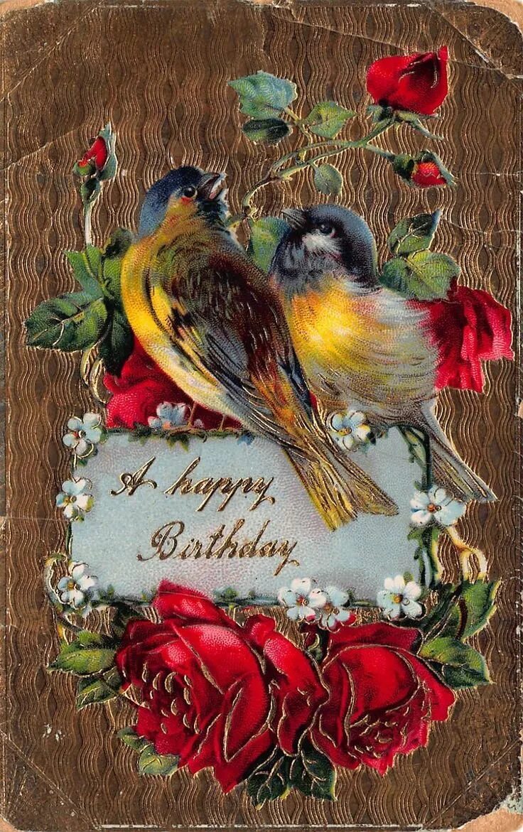 Открытки с птичками. Открытки с птицами. Поздравления с днем рождения с птичками. Открытка с днём рождения с птичками.