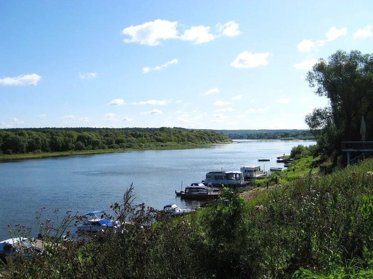 Уровень воды в реке ока в орле. Отель на реке Ока. Фото Тарусы берег у реки. Берег реки Ока Фруктовая.