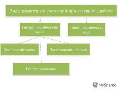 Вид вики