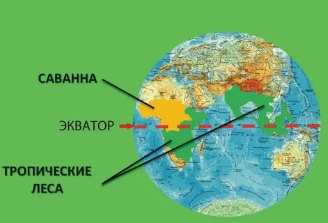 Где находится экватор на земле