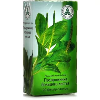 Подорожник лекарство
