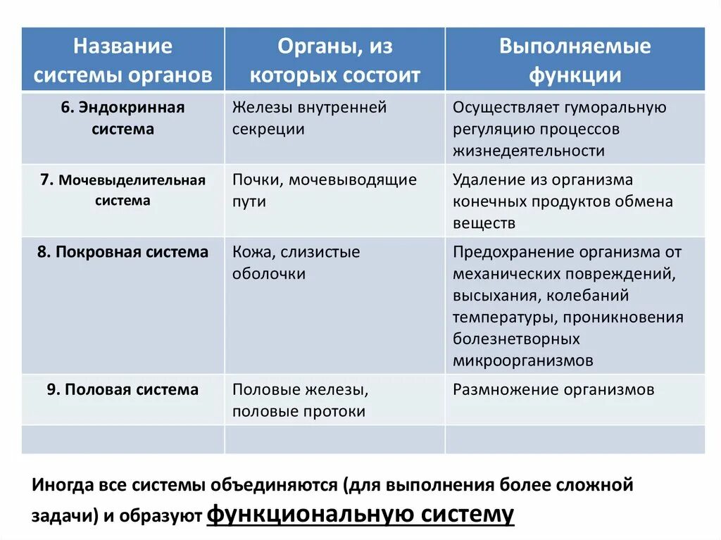 Строение орган человека таблица