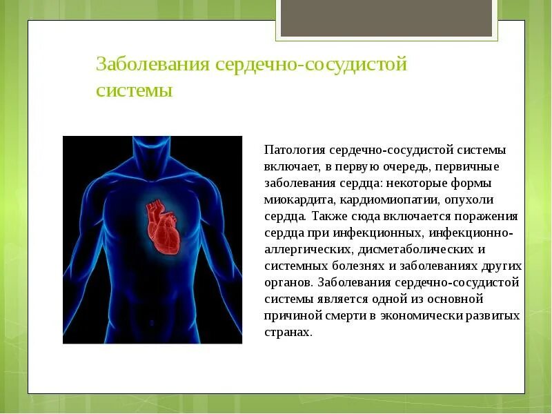 Заболеваемость сердечно сосудистой системы. Prichini serdechno-sosudistix zabolevaniy. Сердечно-сосудистые заболевания. Патология сердечно сосудистой системы. Одно заболевание сердечно сосудистой системы.