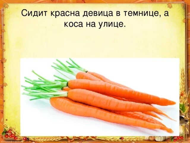 Загадка сидит девица. Красная девица сидит в темнице а коса на улице. загадка красная девица сидит в темнице а коса на улице. красная девица сидит в темнице. красная девица загадка.