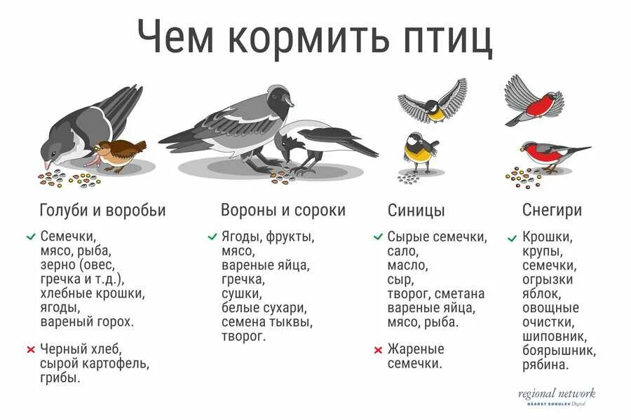 Какую крупу можно давать синичкам
