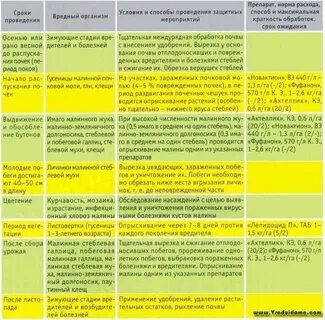Обработка малины весной от болезней