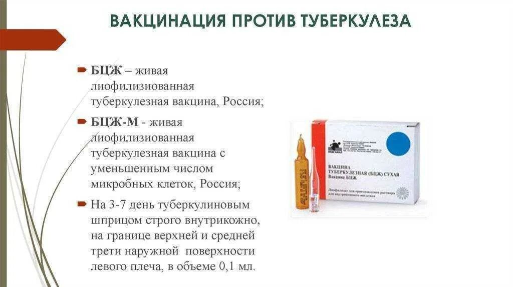 Делают ли прививку от туберкулеза. БЦЖ туберкулез прививка вакцина. Вакцина БЦЖ схема иммунизации. Вакцина БЦЖ название препарата. Вакцина против туберкулеза вводится новорожденному.