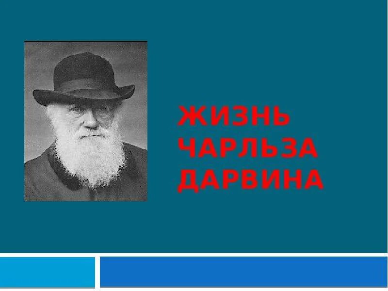 Дарвин презентация. Дарвин презентация. Дарвин презентация. Дарвин и его теория эволюции. Дарвин мд.