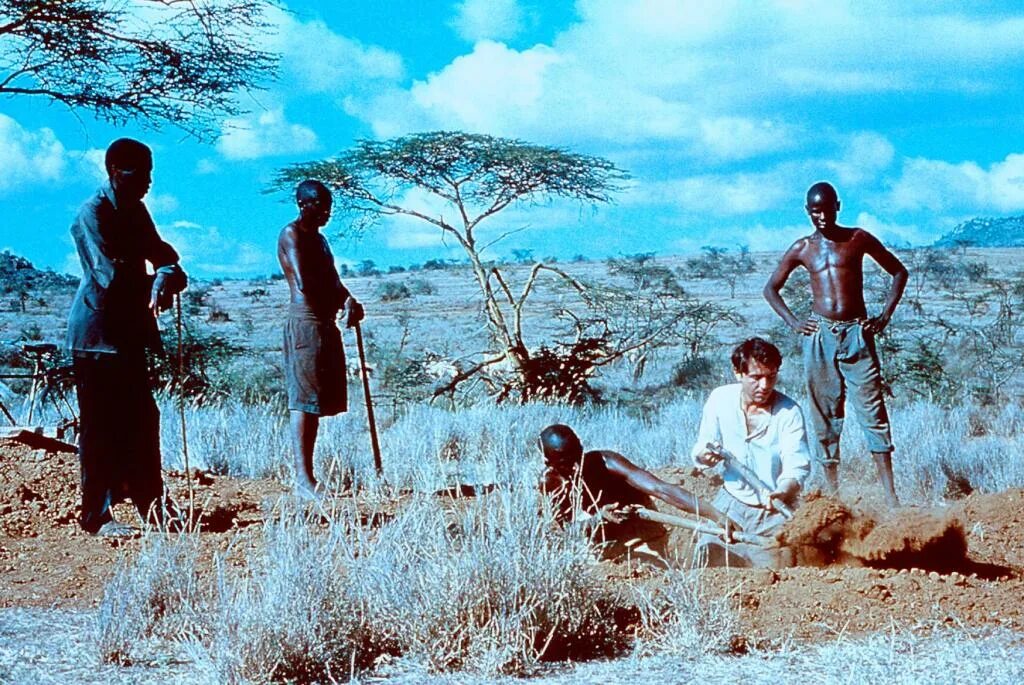 Нигде в африке (2003) (nirgendwo in afrika). Нигде в африке. Нигде в африке (2001) постер. Нигде в африке. 4.