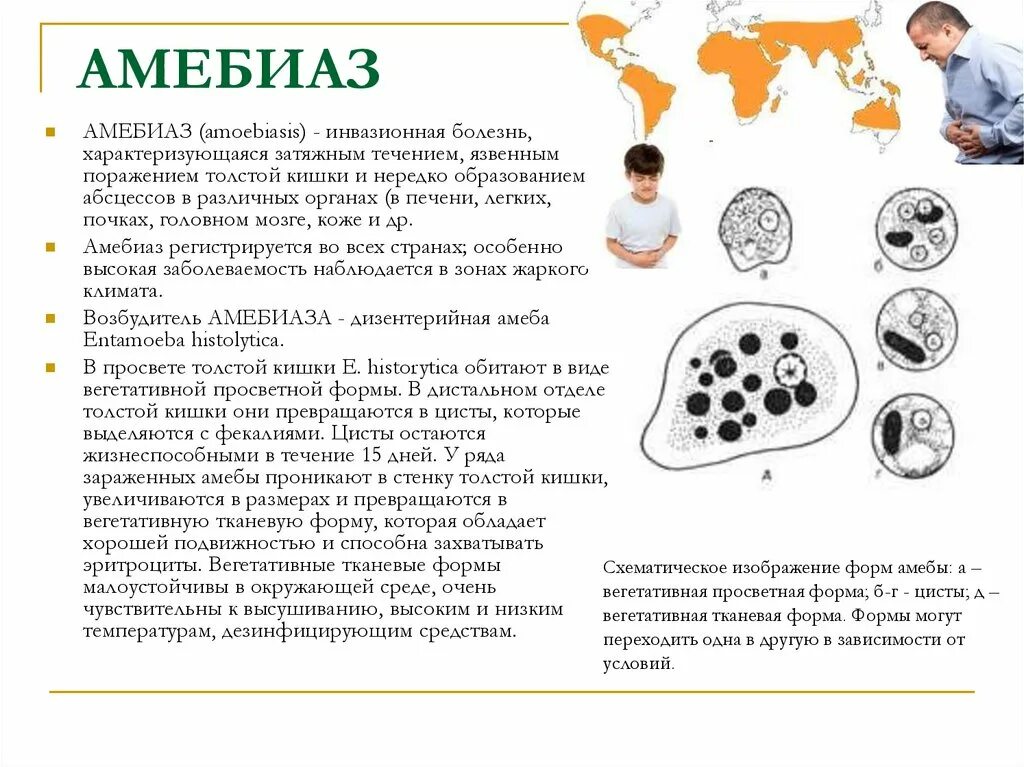 Как заражаются лямблиями
