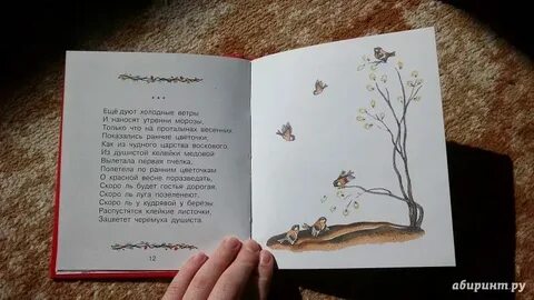 Ветерок дует холодным