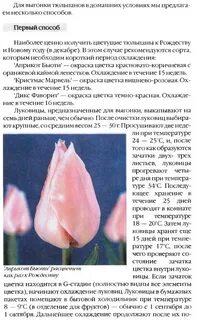 Как хранить тюльпаны чтобы они не раскрылись