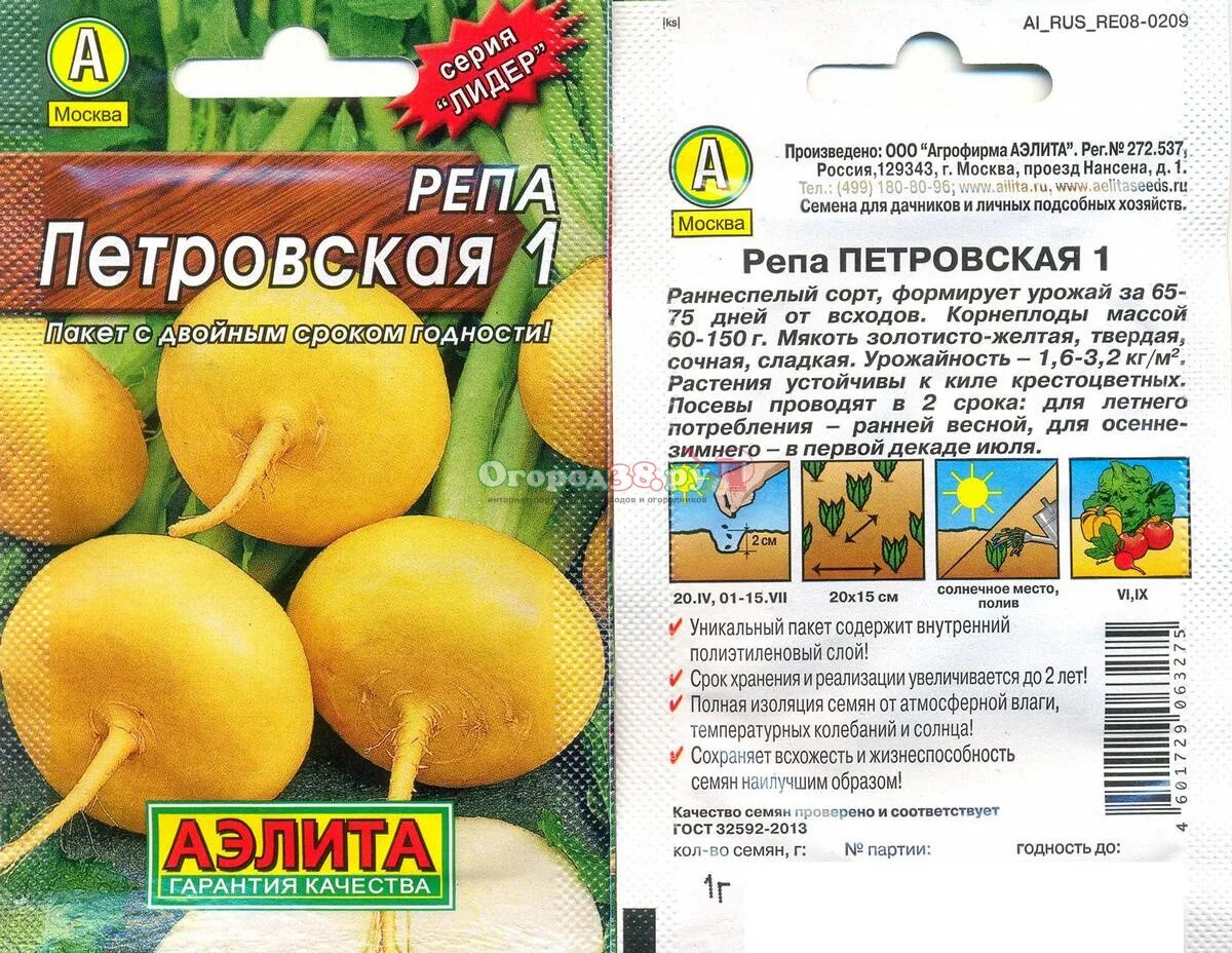 Разбор репа. Репа семена. репа сорта лучшие для открытого грунта. репка семена лучшие сорта.