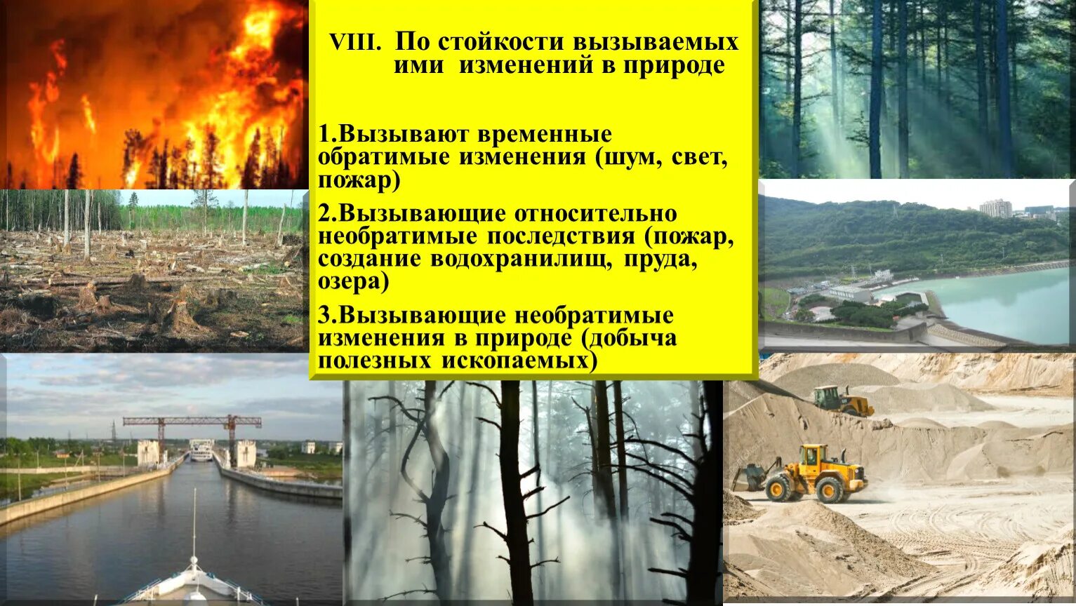 Презентация к уроку "Экология"