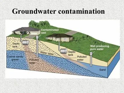 Contamination перевод