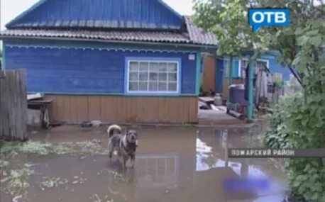 Погода пожарское приморский рп5