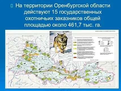 Охотничья карта оренбургская область