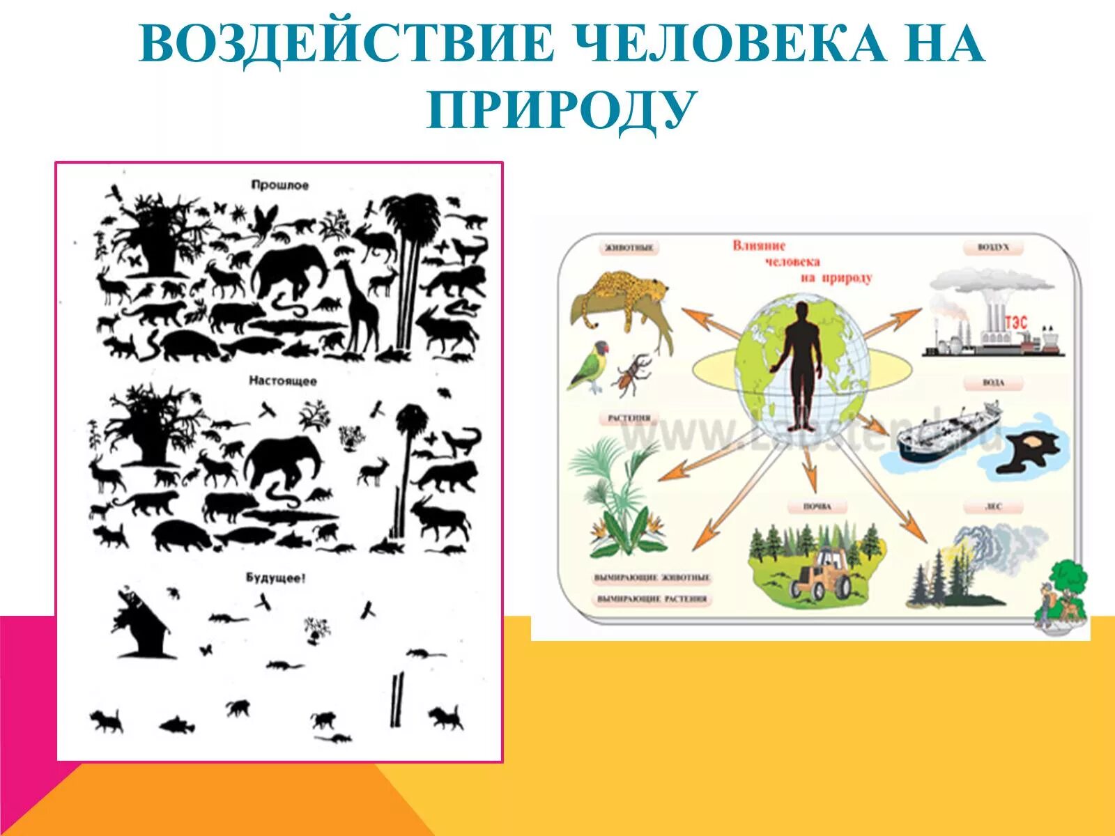 Биологическое влияние человека на природу. Влияние человека на природу рисунок. Влияние человека на пр. Влияние человеана природу. Историческое влияние человека на природу.