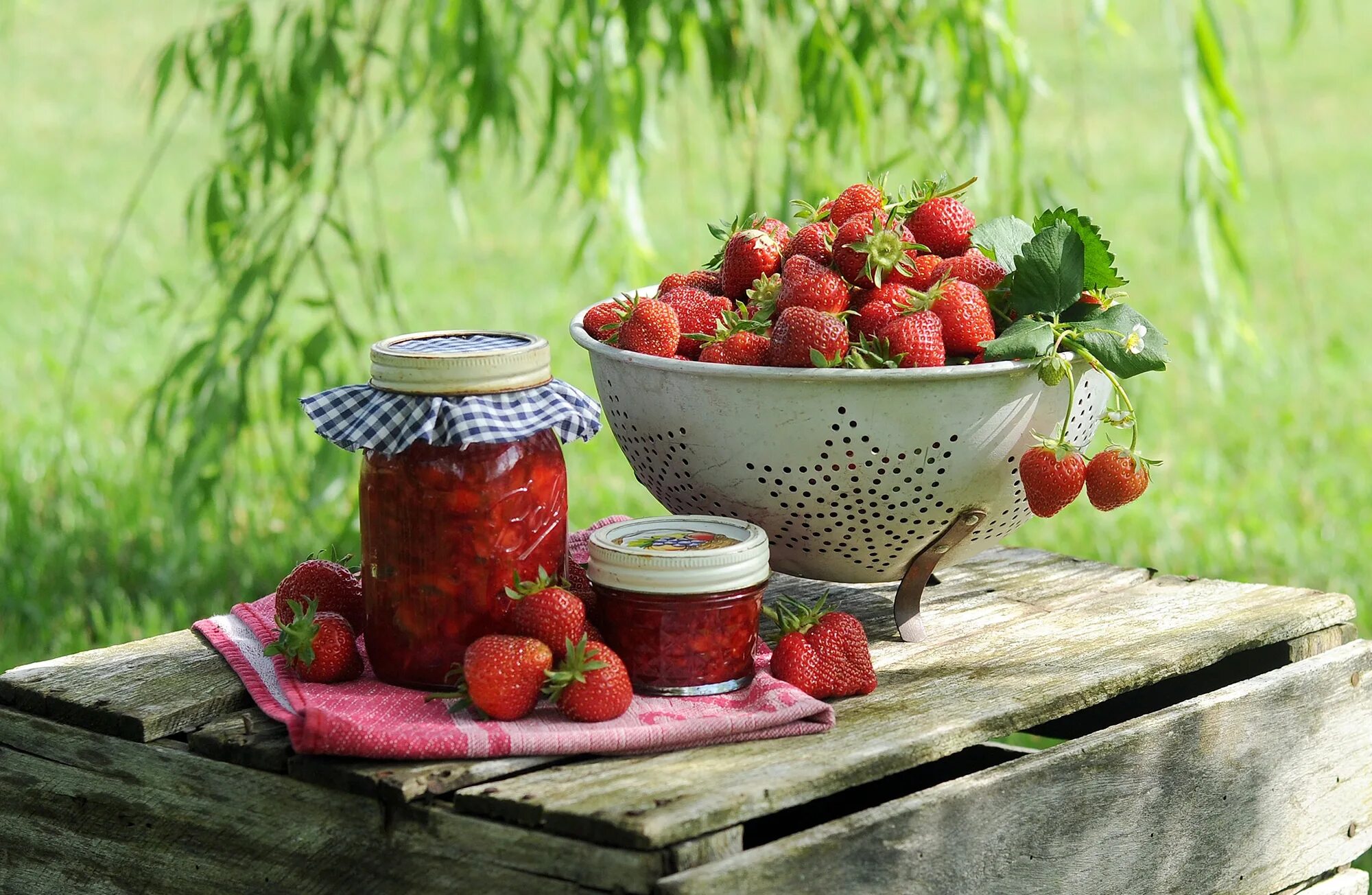 Корзина с клубникой. Красивая клубника. Клубника. Лето ягоды. Клубника.