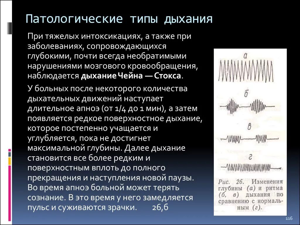 Какой тип дыхания. Дыхание Куссмауля и чейн-Стокса. Патологии дыхания Чейна-Стокса. Ритм Чейна Стокса. Патологические типы дыхания чейн Стокса.