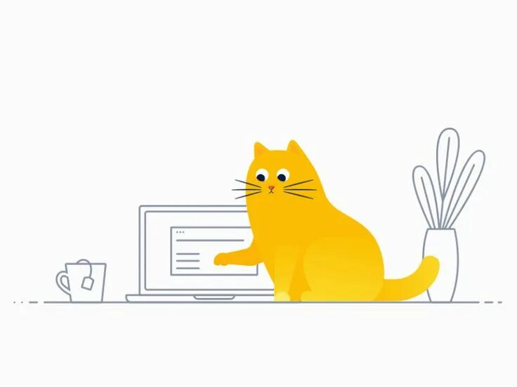 Cat programming