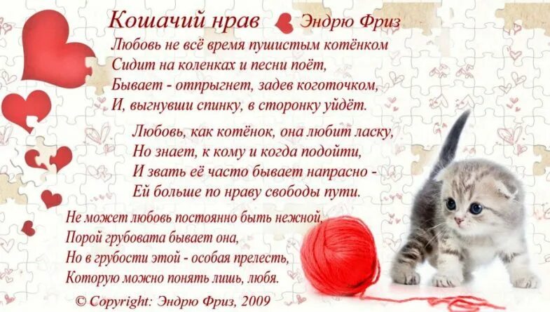 Стихи про любимых кошек. Люблю кота стихи. Стихи о котах. Стихи о кошке и человеке. Люблю кота стихи.
