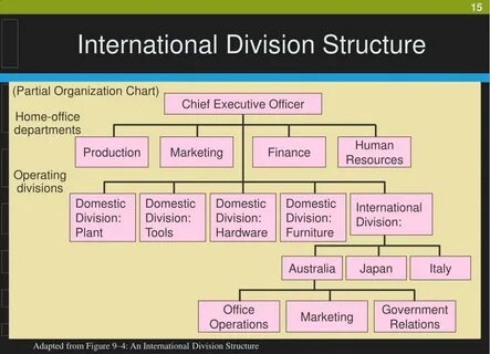 Company division