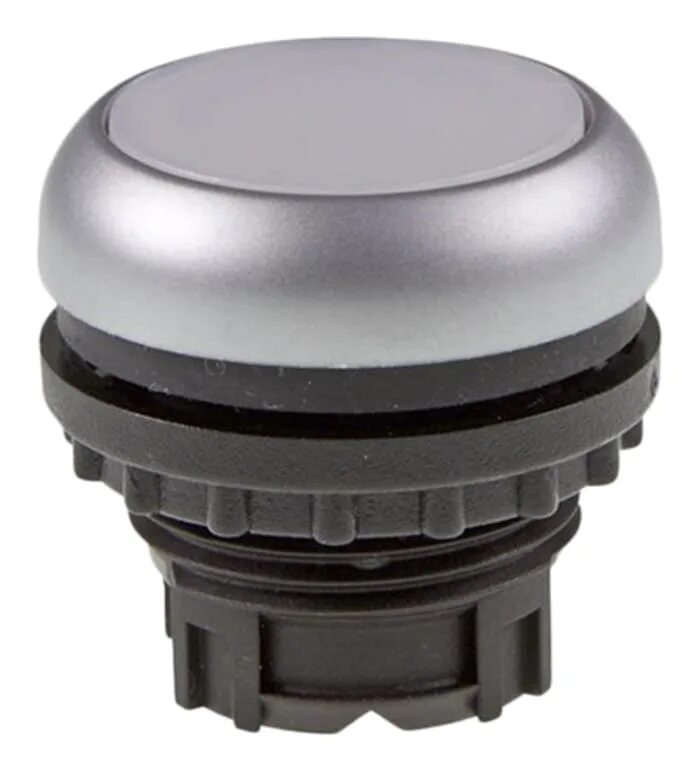 White push button