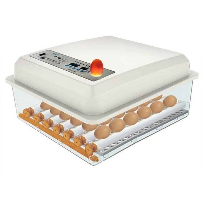 Инкубаторы для яиц автоматические купить на озоне. MS 36 инкубатор. Инкубатор для яиц Egg incubator. Инкубатор Automatic Mini incubator manual. Инкубатор Egg incubator 6 яиц.