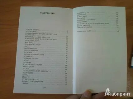 Дачное удовольствие чехов читать