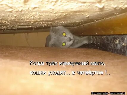 Ой что то будет