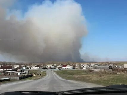 Погода в харлово кашинский