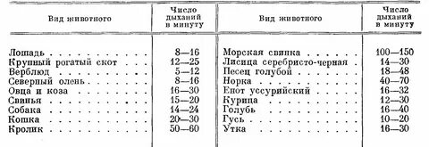 Сколько выдохов делает в минуту