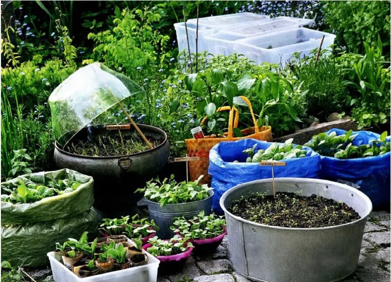 Сад на даче. Красивый огород. Цветы в саду и на даче. Хитрости для сада и огорода. Огород урожай.