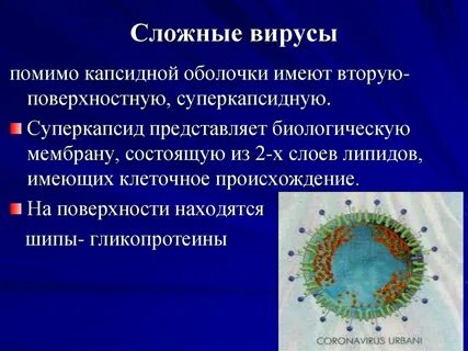 Как можно определить вирус