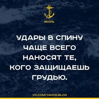 Спина фразы