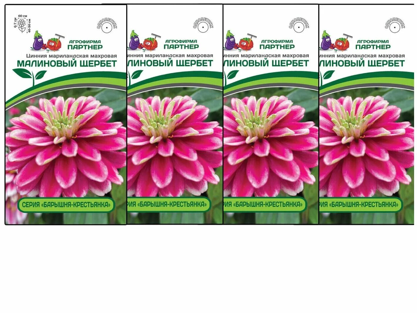 циния партнер семена малиновый щербет. цинния мариландская махровая. цинния малиновый щербет. циния захара распберри. цинния малиновый щербет.