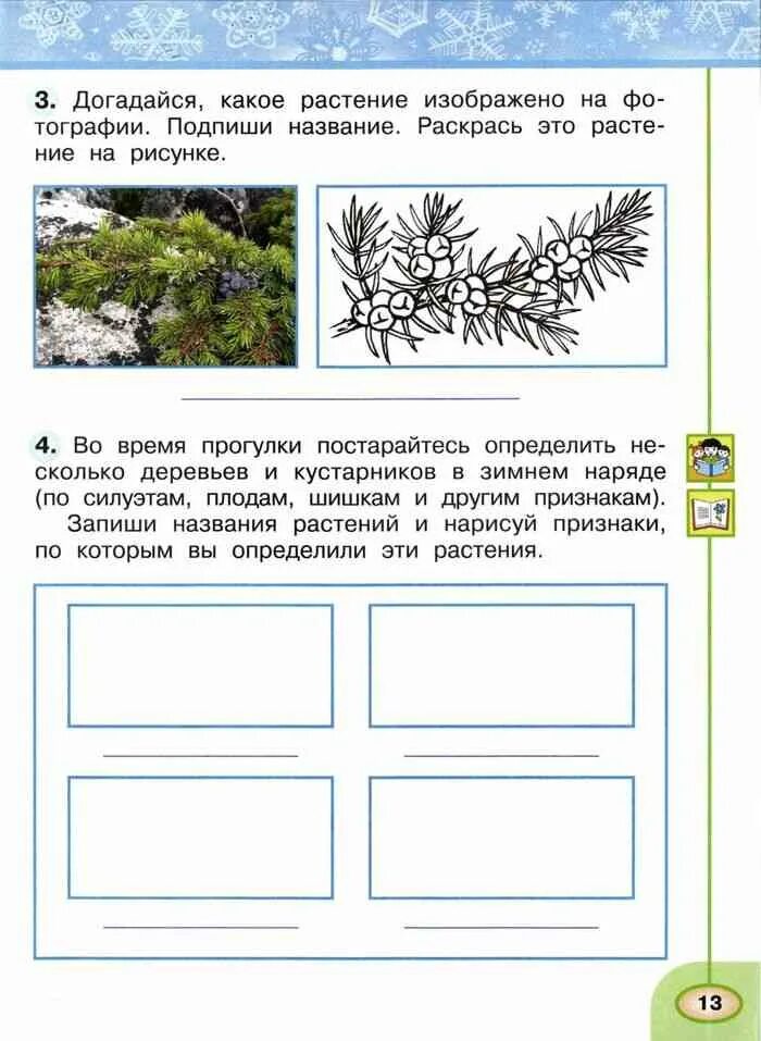 Окружающий мир 2 класс рабочая тетрадь растения. Зима в мире растений рабочая тетрадь. зима в мире растений 2 класс рабочая тетрадь. зима в мире растений 2 класс. окружающий мир 2 класс зима в мире расстеник.