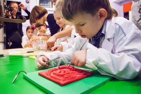 Мастер класс в форме игры