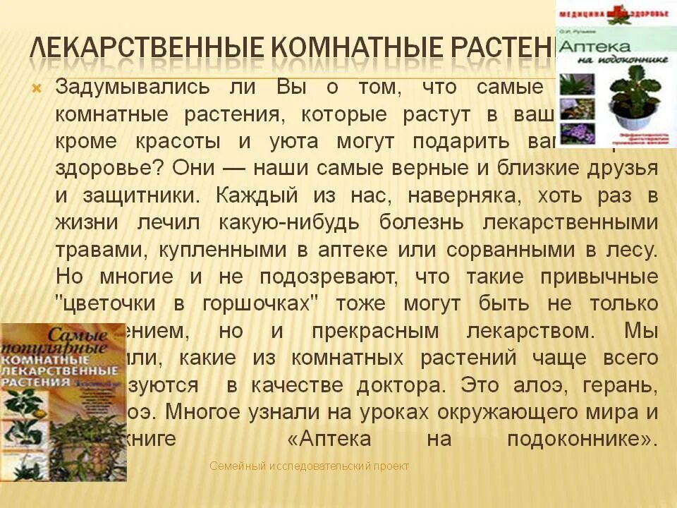 Лечебные свойства комнатных растений. Лекарственные комнатные растения. Комнатные лекарственные растения проект. Свойства комнатных растений. Лекарственные комнатные растения доклад.