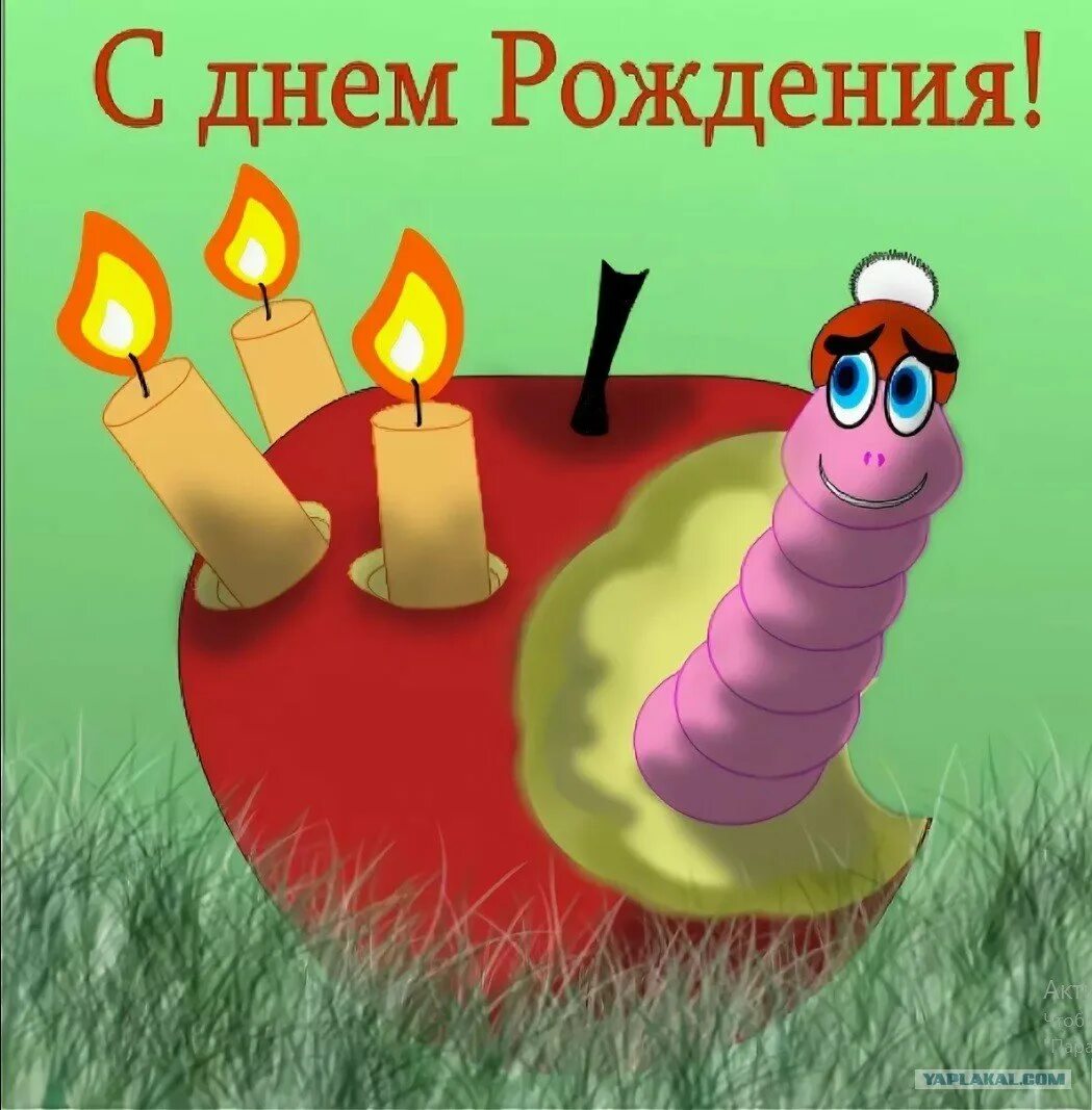 Можно ли поздравить с наступающим днем рождения. С днем рождения. с днем рождения червяк. с днем рождения прикольные. с днем рождения прикол.