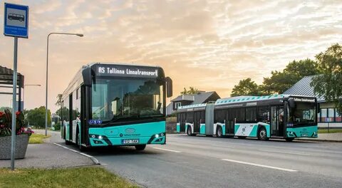 Tallinn bus