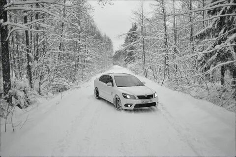 Белая зима 2