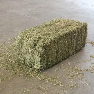 Прессованные травы