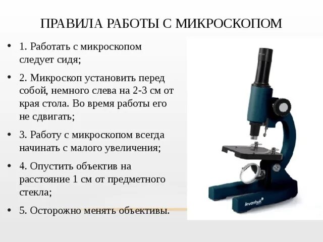 Какую функцию выполняет объектив при работе микроскопа. Микроскоп правила работы с микроскопом. Правила как пользоваться микроскопом. Правила работы с микроскопом 5 кл биология. Микроскоп с2108.