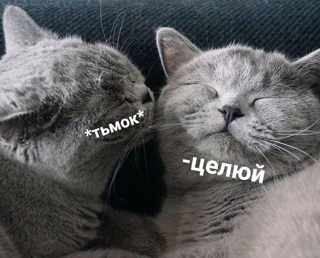 Кис ти