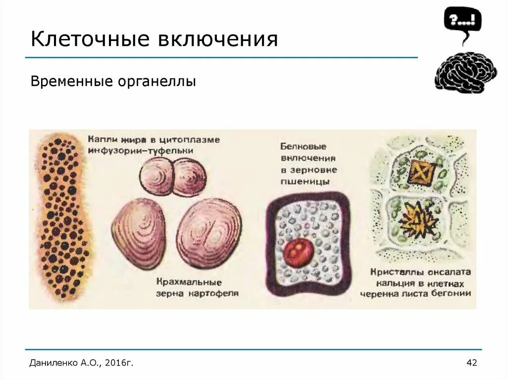 Дайте определение включений
